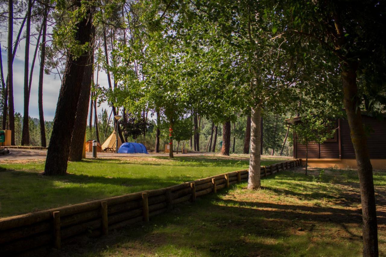 Xisto Camping Janeiro de Baixo Luaran gambar