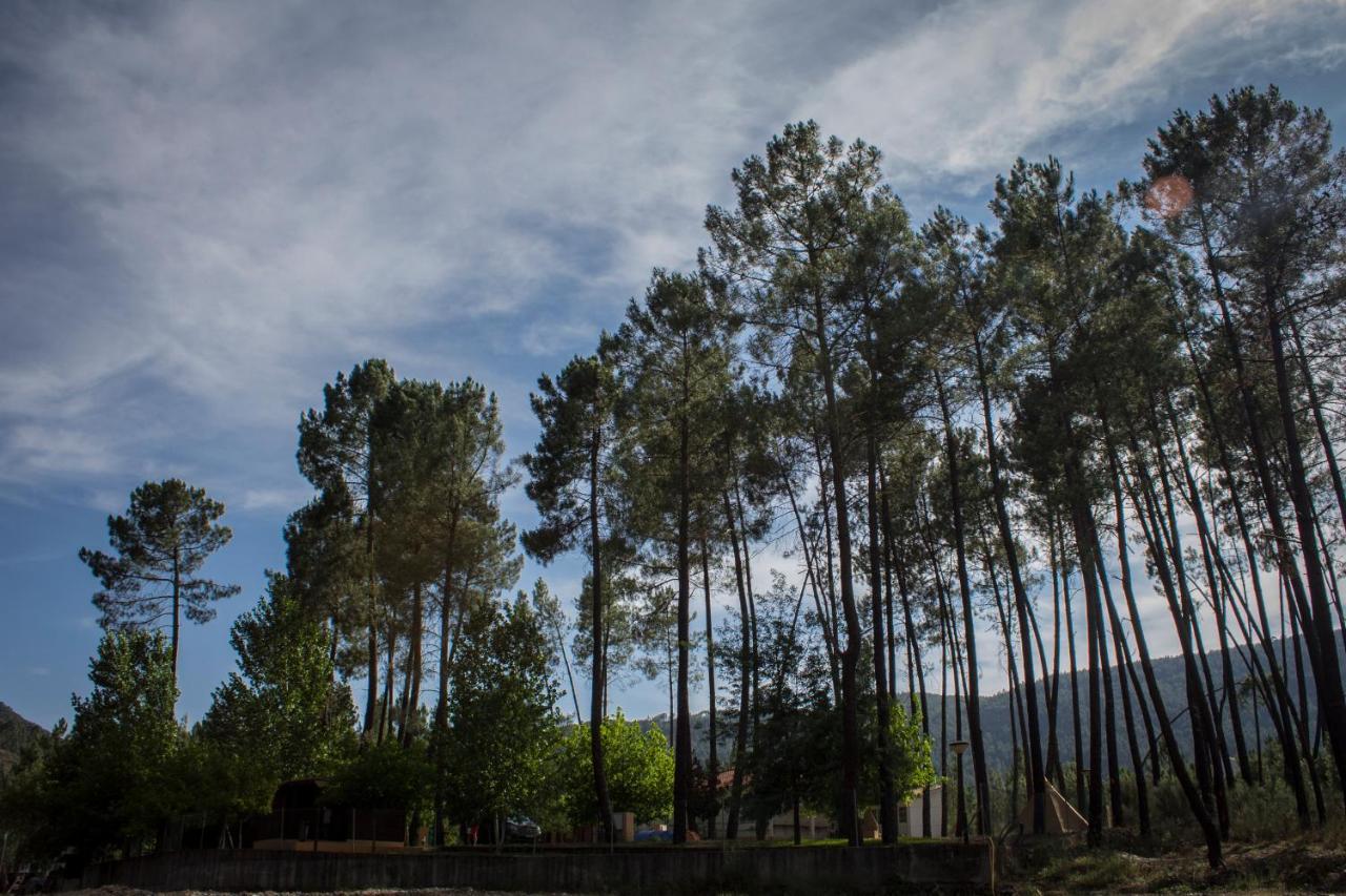 Xisto Camping Janeiro de Baixo Luaran gambar